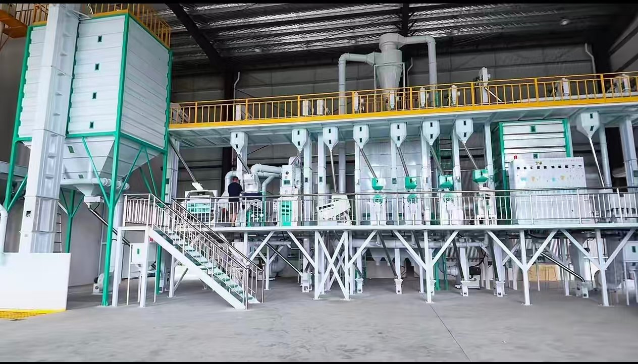 Precio de fábrica 30t/D Línea completa de molienda de arroz Planta de procesamiento de arroz paddy