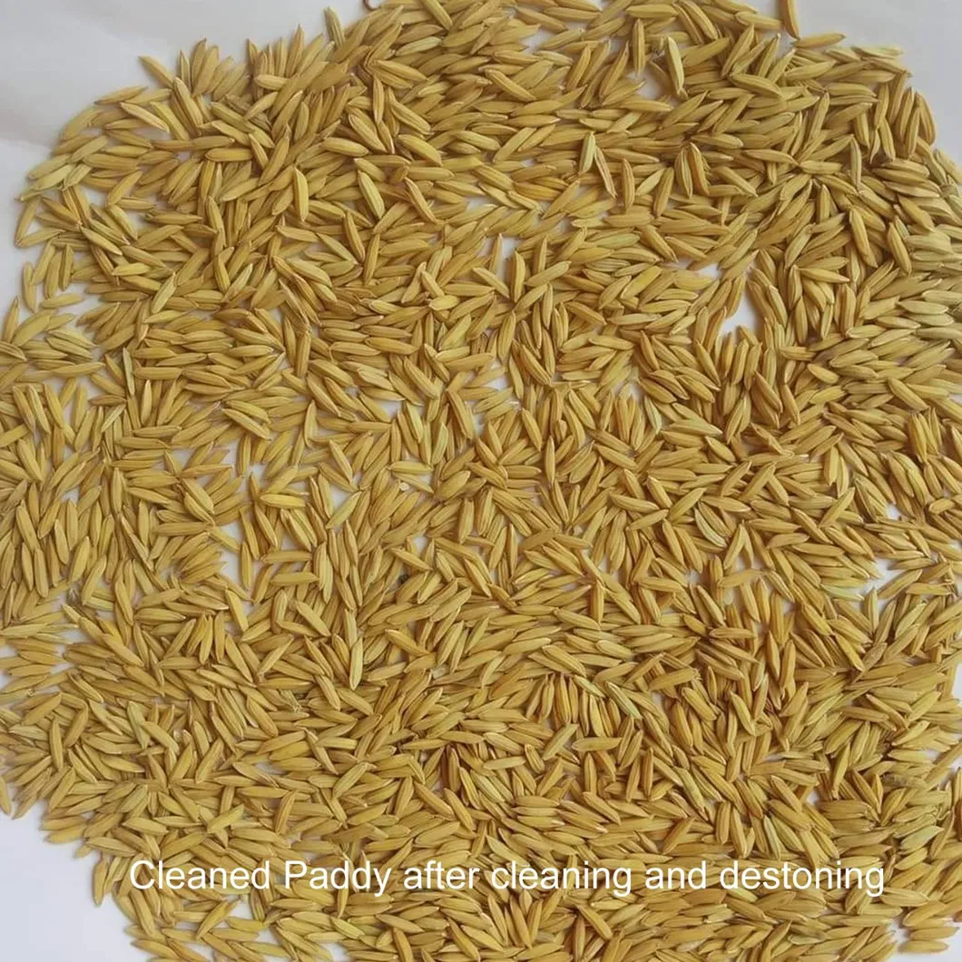 Procesamiento de arroz - Etapa 1