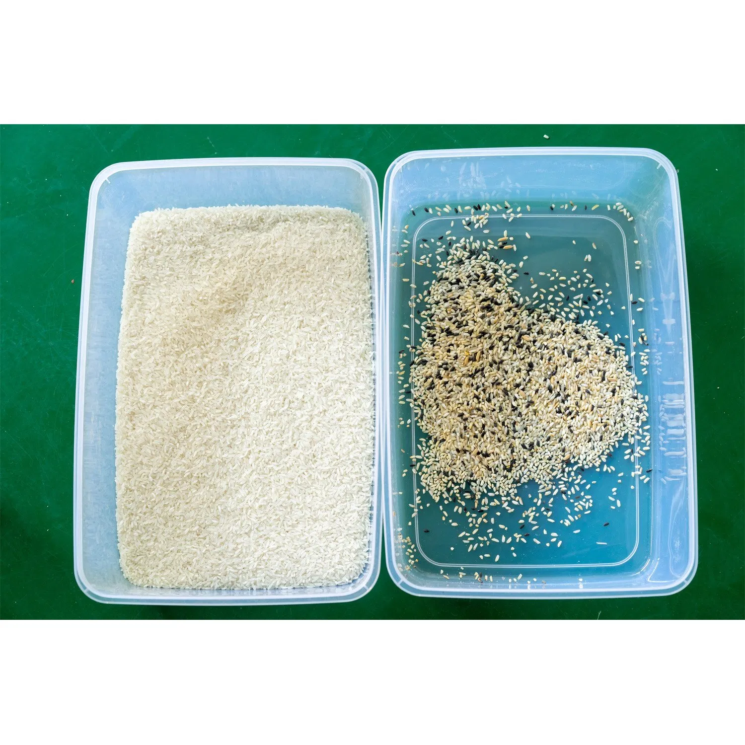 Máquina clasificadora de arroz múltiple, máquina de clasificación de granos por color, máquina de selección de arroz