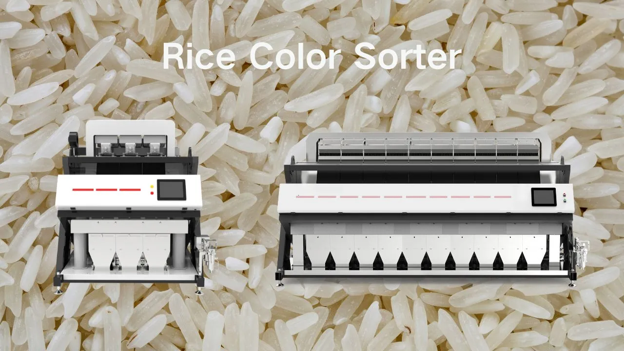 Fabricante de Clasificadores de Arroz Máquina de Clasificación Óptica de Alto Rendimiento