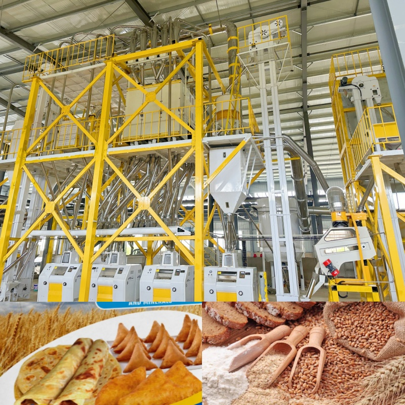 50tpd-60tpd Molino industrial de maíz, trigo, arroz, harina, atta, madia, suji, sémola para producción comercial