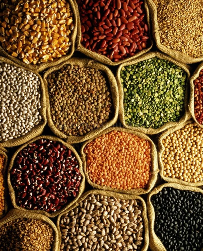 Pulidor de frijoles rojos eléctricos / Pulidor de arroz / Máquina blanqueadora de arroz