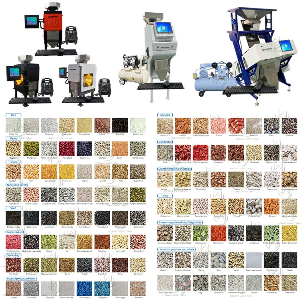 Hcs500 50-500kg/H Máquina clasificadora de granos de arroz inteligente de sistema Windows, clasificador de color de frijoles mungo, clasificador de color de trigo, nuez de plástico, cacao, granos de café