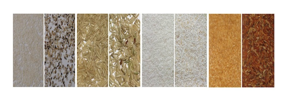 Ventas Calientes Alto Rendimiento Pequeño Mini Clasificador de Color para Arroz Granos Semillas Frijoles Nueces