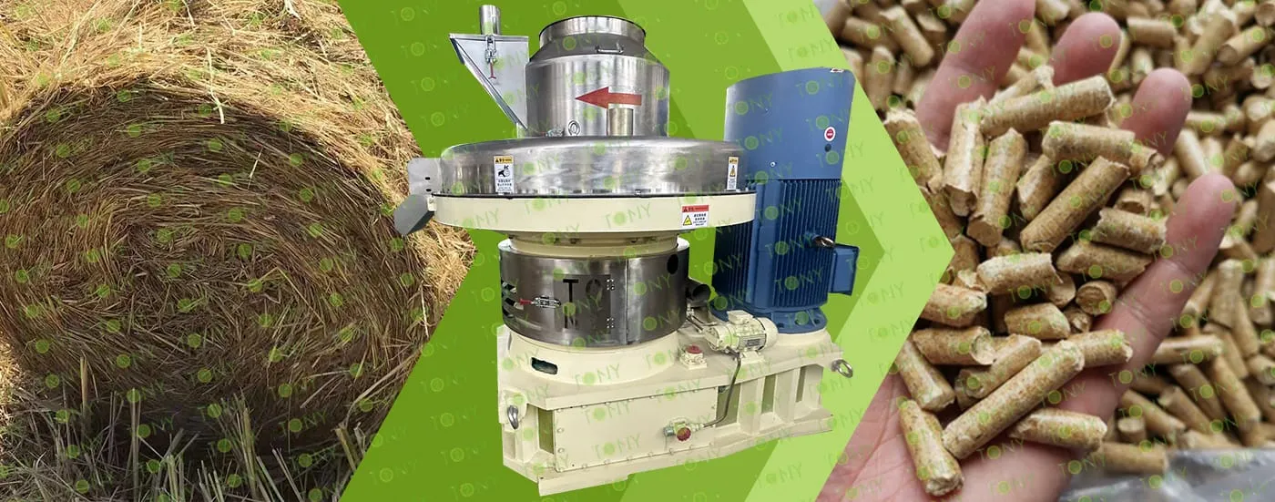 Capacidad de Procesamiento Fuerte 10t/H Planta Completa de Pellets de Paja de Arroz en Venta