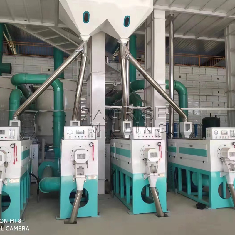 Máquina pulidora de arroz de alta capacidad 3-4t/H de China en venta, pulido con agua de arroz