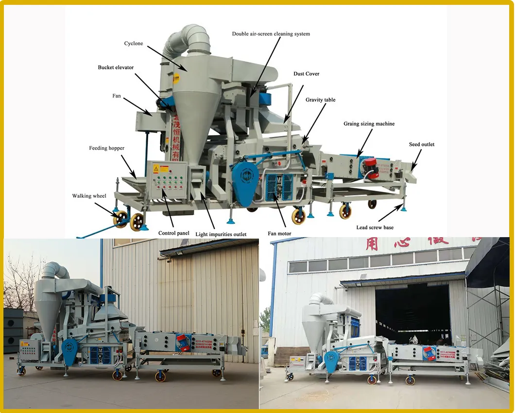 Separador Automático de Impurezas de Grado Alimentario para Semillas