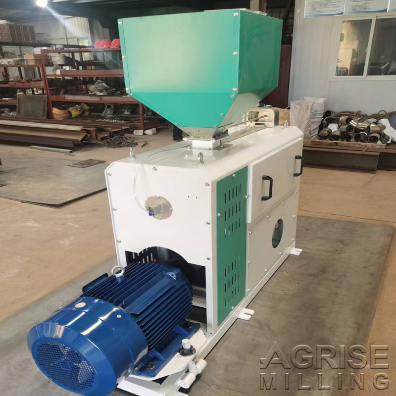 Máquina pulidora de arroz de alta capacidad 3-4t/H de China en venta, pulido con agua de arroz