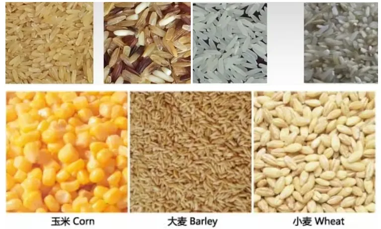 Máquina de clasificación de color para mini semillas, café, sal, arroz, frijoles y granos