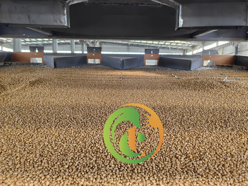 Máquina de limpieza de granos removedor de piedras máquina desstoneadora de arroz y sésamo