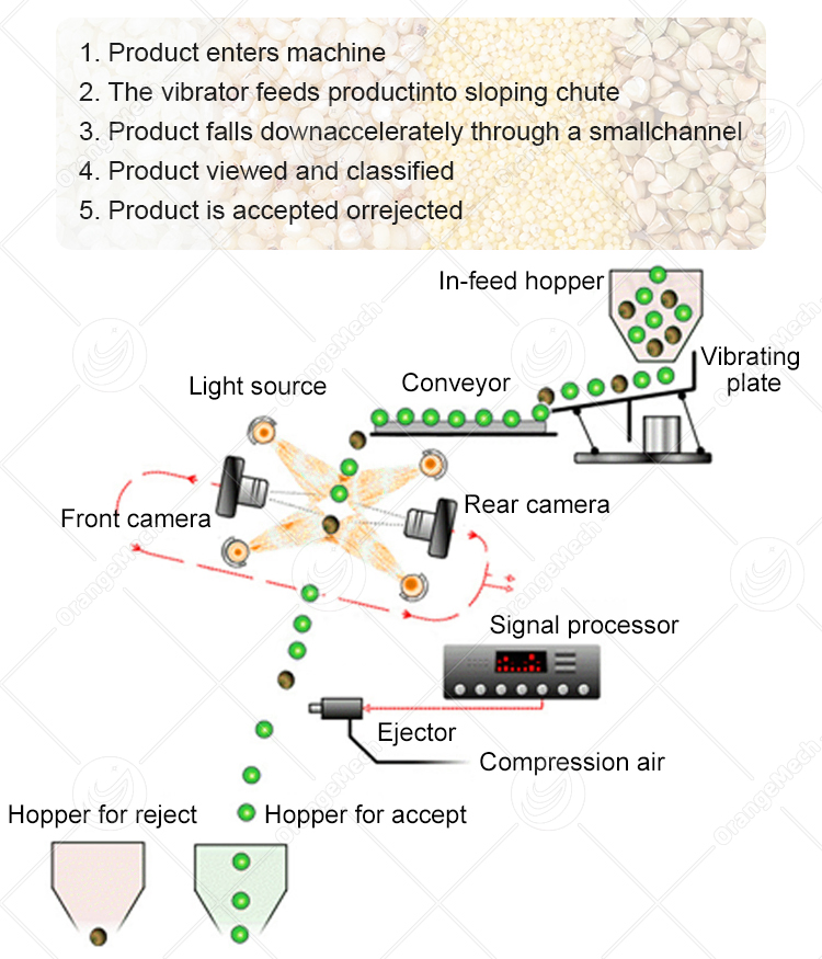 Pequeña máquina de clasificación óptica de color para té eléctrico, grano, nuez, semilla, café, frijol verde, arroz y ajo