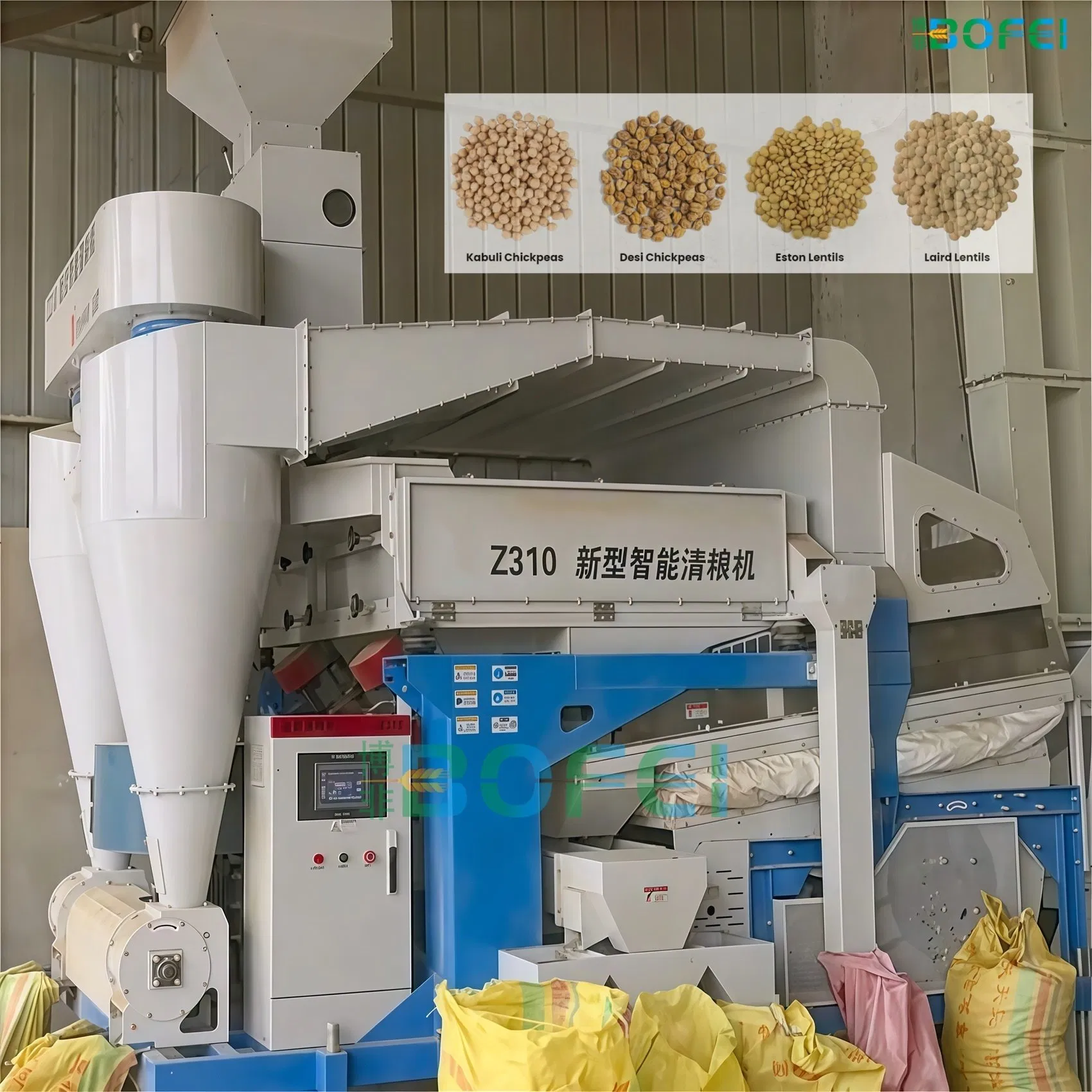 Z310-Jl Máquina de limpieza de semillas de garbanzos, arroz y trigo con diseño de doble capa