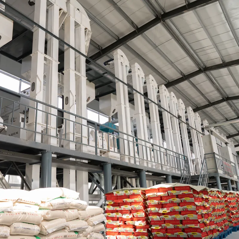Línea de producción de arroz paddy comercial a precio de fábrica, planta de molino de arroz automática