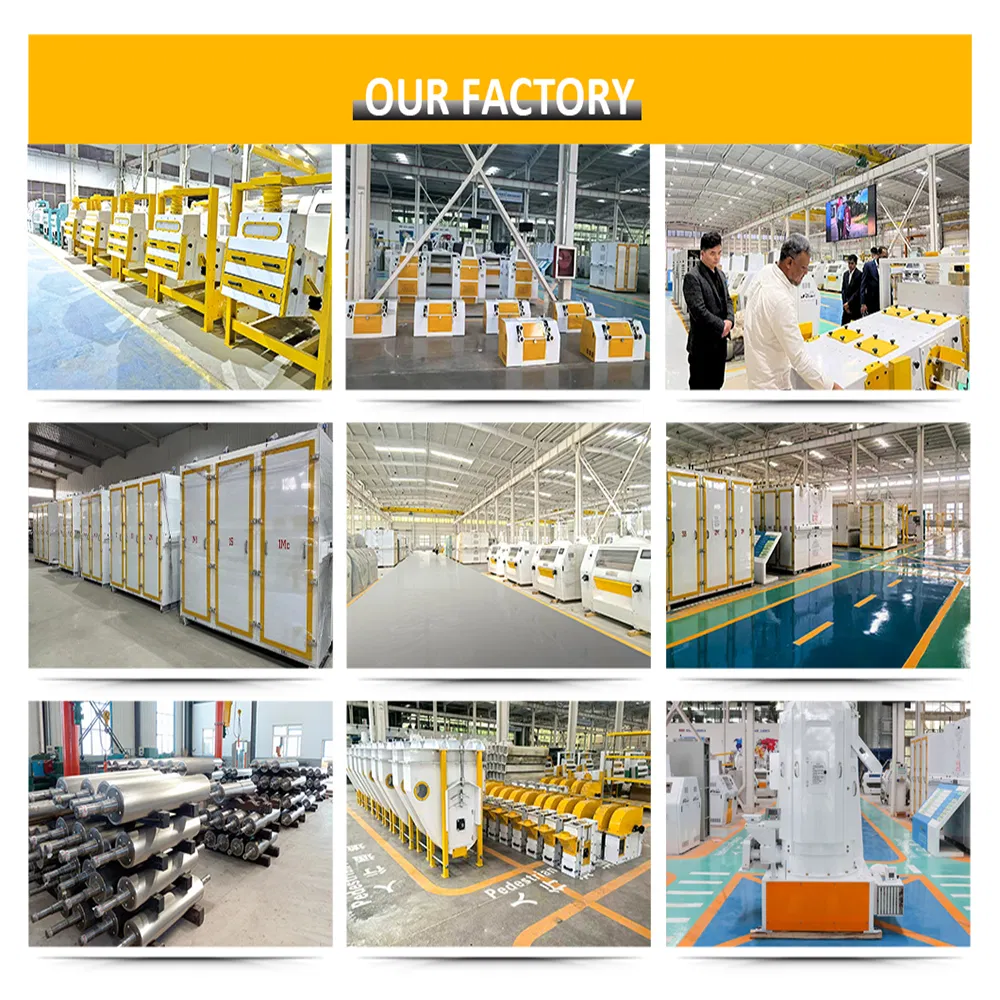 50tpd-60tpd Molino industrial de maíz, trigo, arroz, harina, atta, madia, suji, sémola para producción comercial