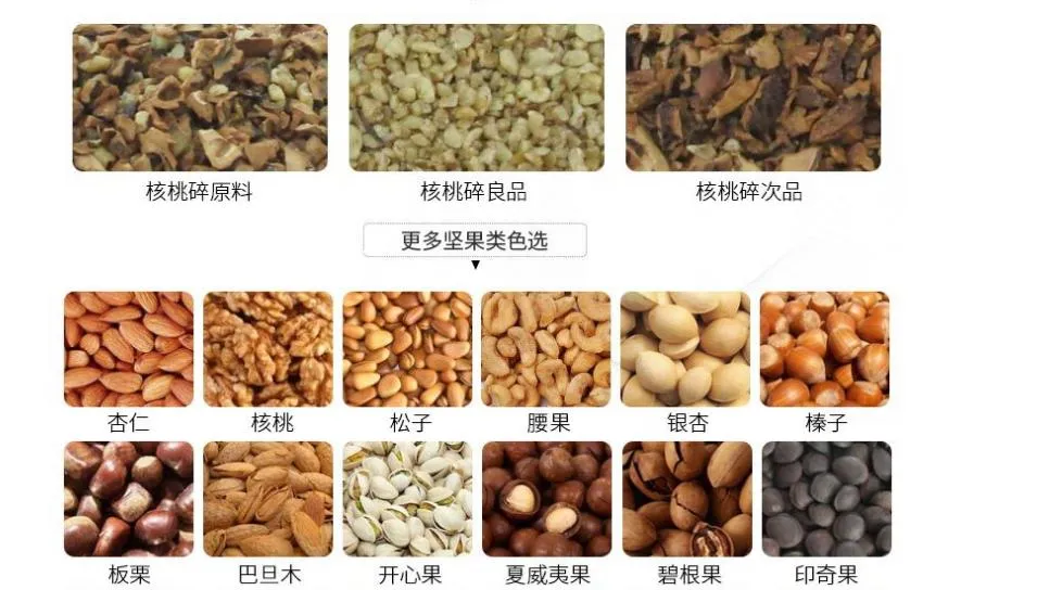 Clasificador de color para almendras, nueces, anacardos, avellanas, nueces de macadamia, granos de café y arroz