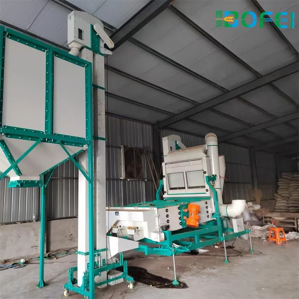 Máquina de clasificación y limpieza de semillas de Bofei Agricultural Machinery Africa para sésamo, trigo, arroz, maíz, chía, maíz y soja 99.9%