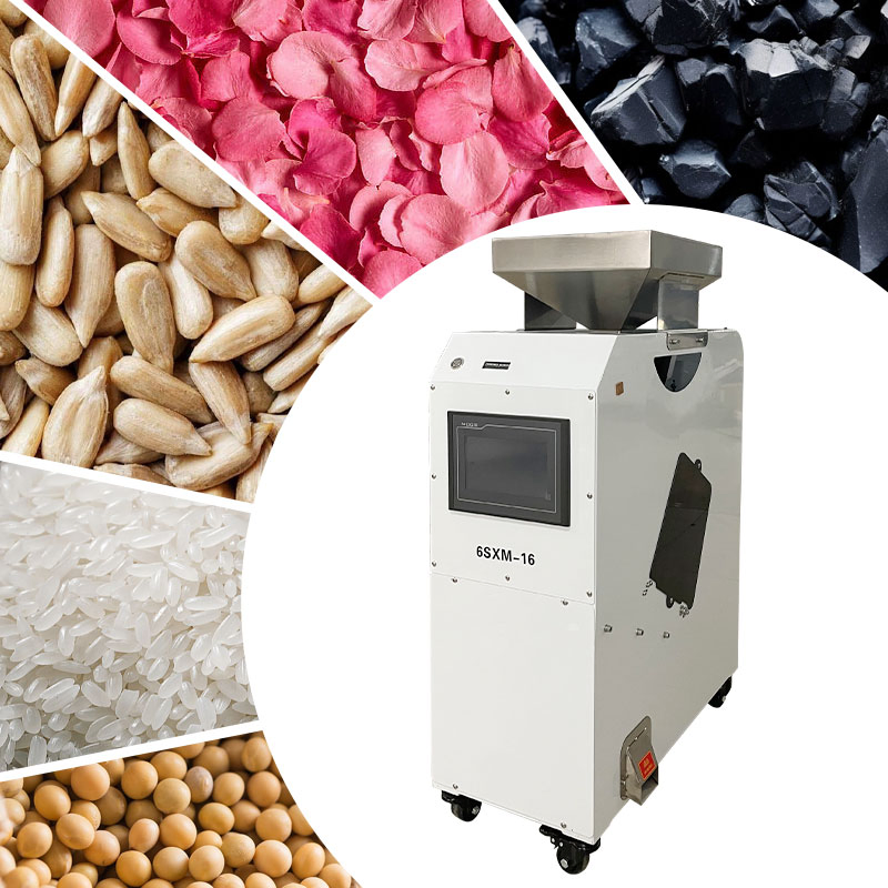 Máquina de clasificación de granos de cacao, arroz, semillas, frijoles, nueces