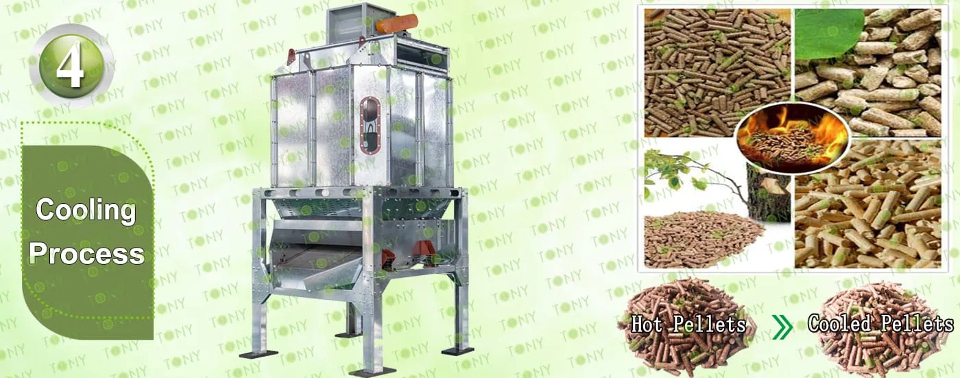 Proceso de refrigeración