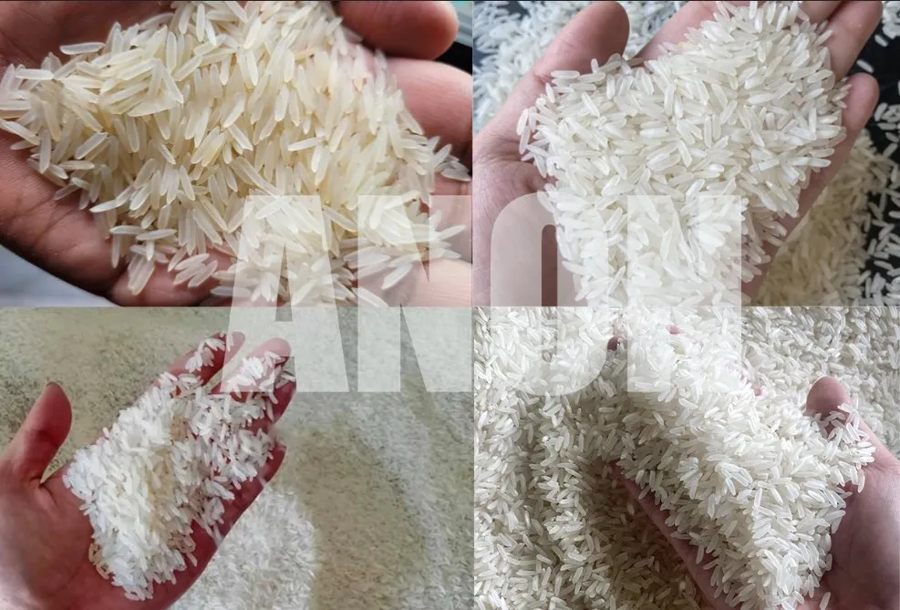 Muestras de arroz procesado final