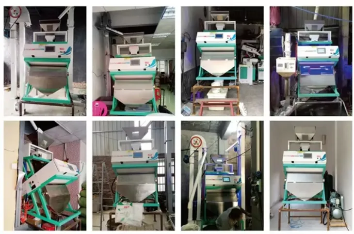 Máquina de clasificación de color para mini semillas, café, sal, arroz, frijoles y granos