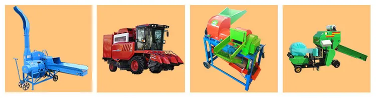 Productos relacionados