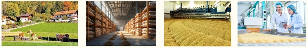 Unidad compacta de pulido de granos para el hogar, mini máquina de molienda de arroz