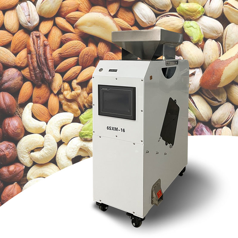 Máquina de clasificación de granos de cacao, arroz, semillas, frijoles, nueces