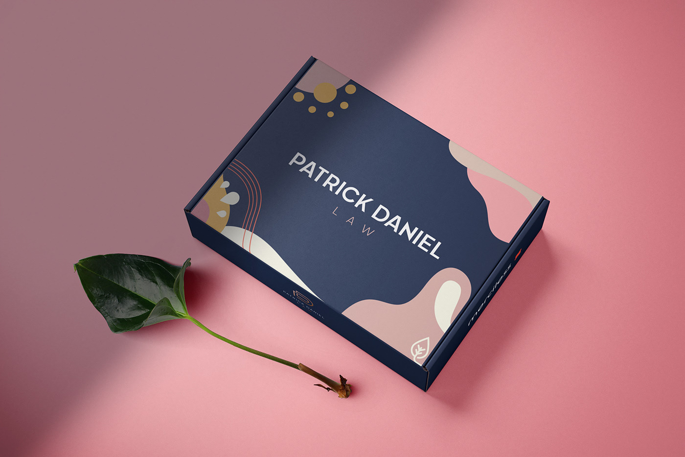 Packaging Box Option 4