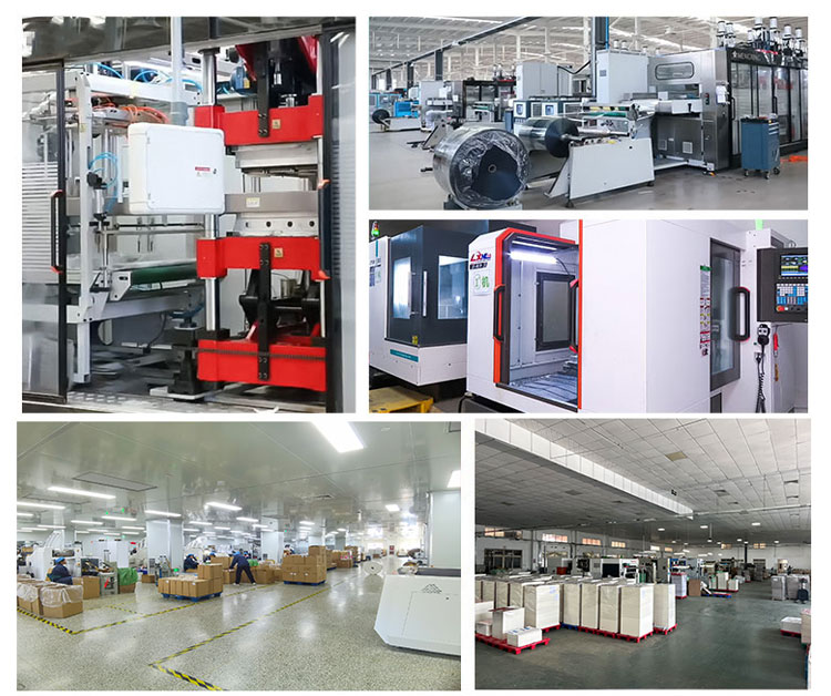 Paper Take Away Packages Manufacturing
