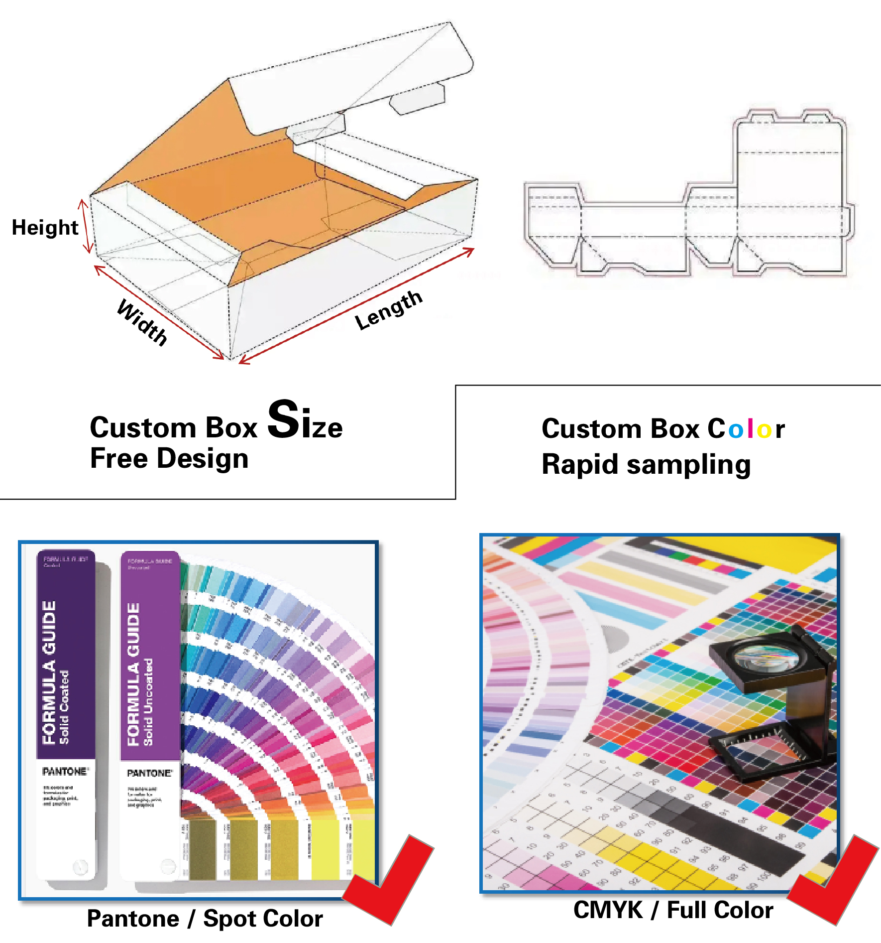 Size and Color Selection