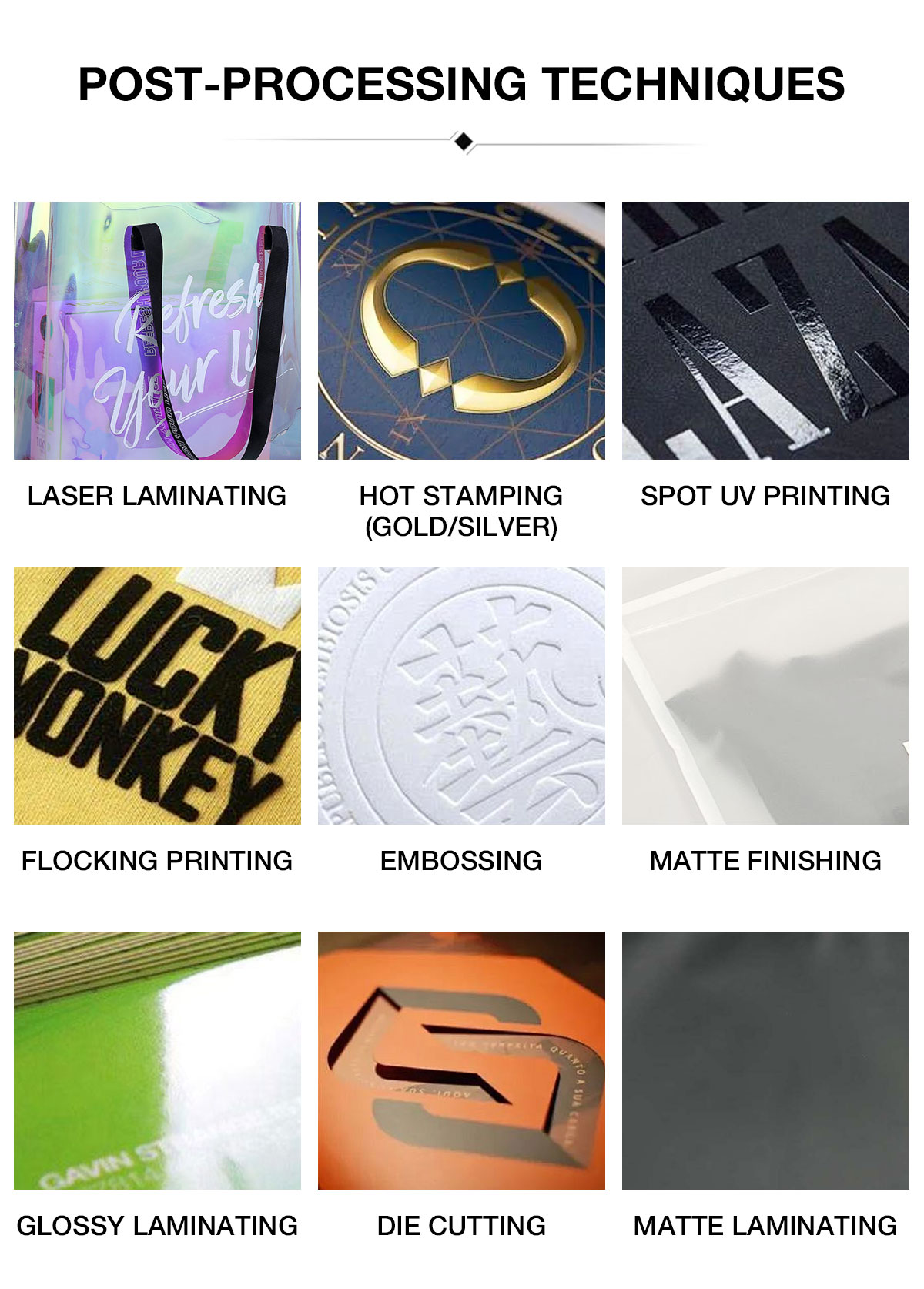 Product Showcase 6