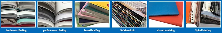 Binding Options Display