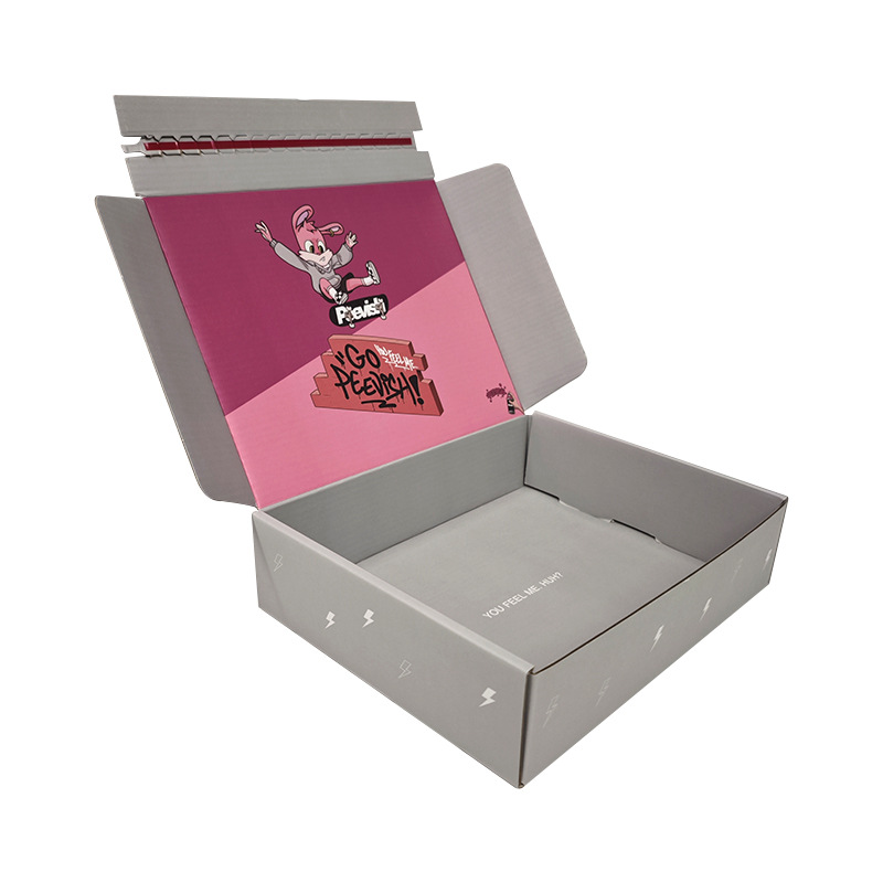 Packaging Box Option 6