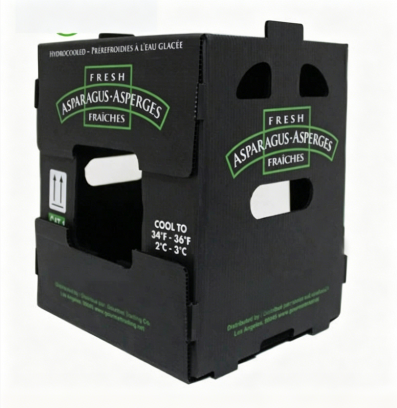 PP Corrugated Plastic Box for Agriculture Packing Box and Seafood Packing Box