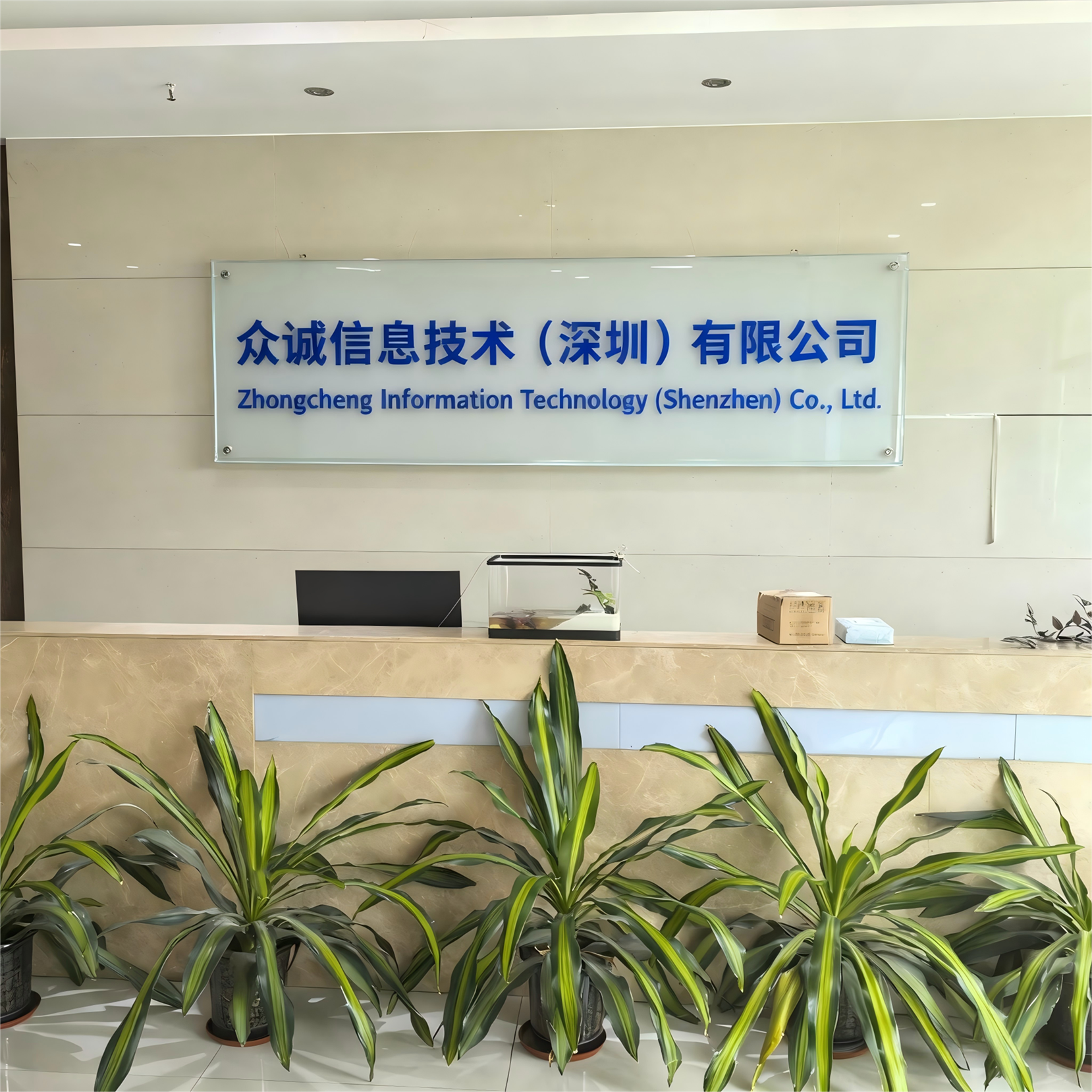 Company Overview