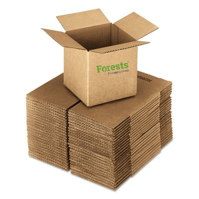 FPG Custom Color Printed Logo 10x10x10 Delivery Box 5 Ply Corrugated Cardboard Paper Packaging Shipping Boxes
