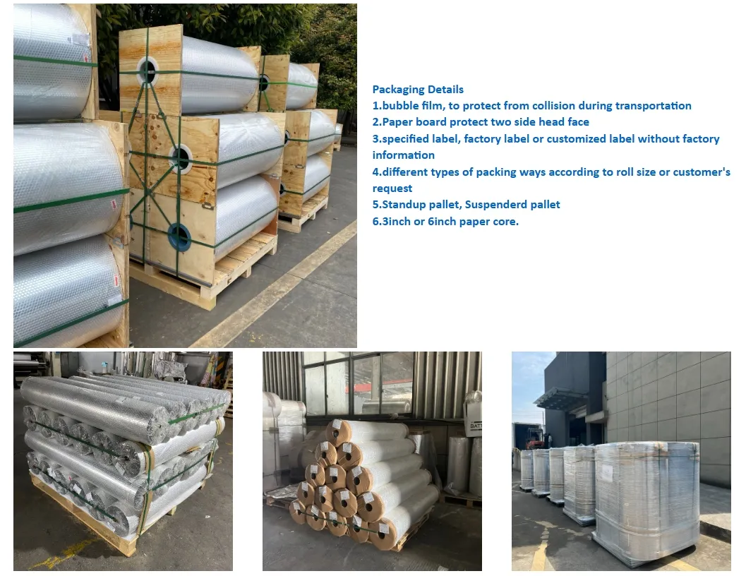 Packaging & Shipping