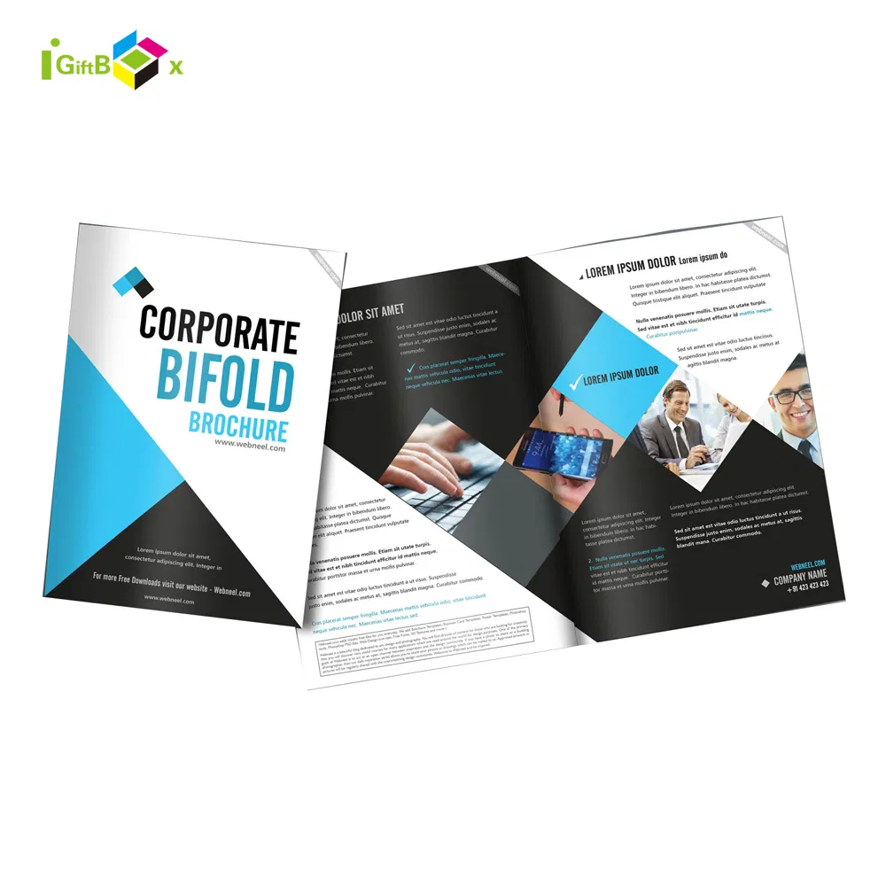 Full Color Printing Promotion Catalogues/Booklets/Instruction Manual