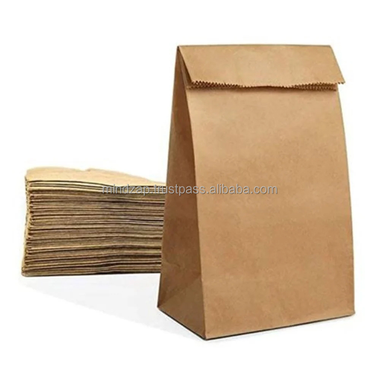 Eco-Friendly Paper Bag Style 4