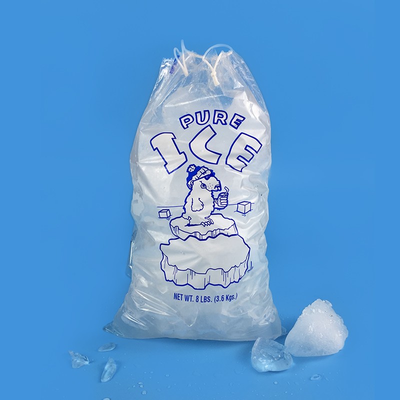 Ice cube bag