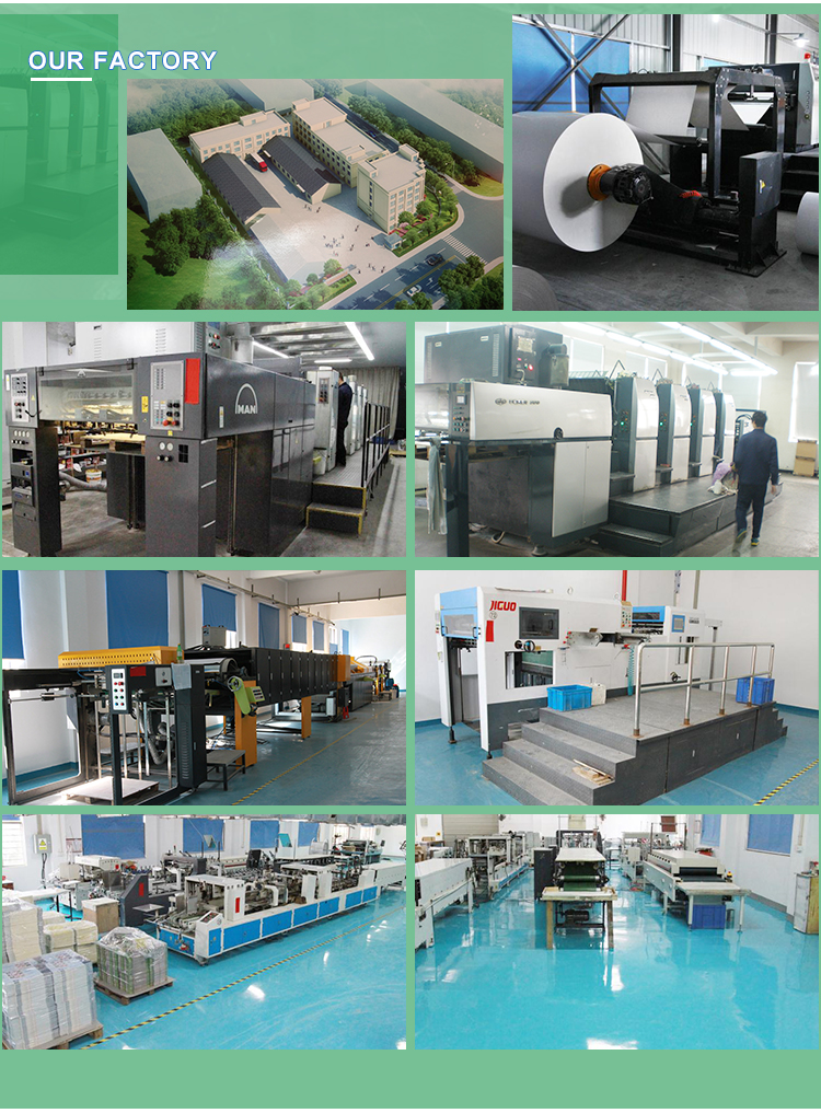 Custom Printed Paper Box Packaging