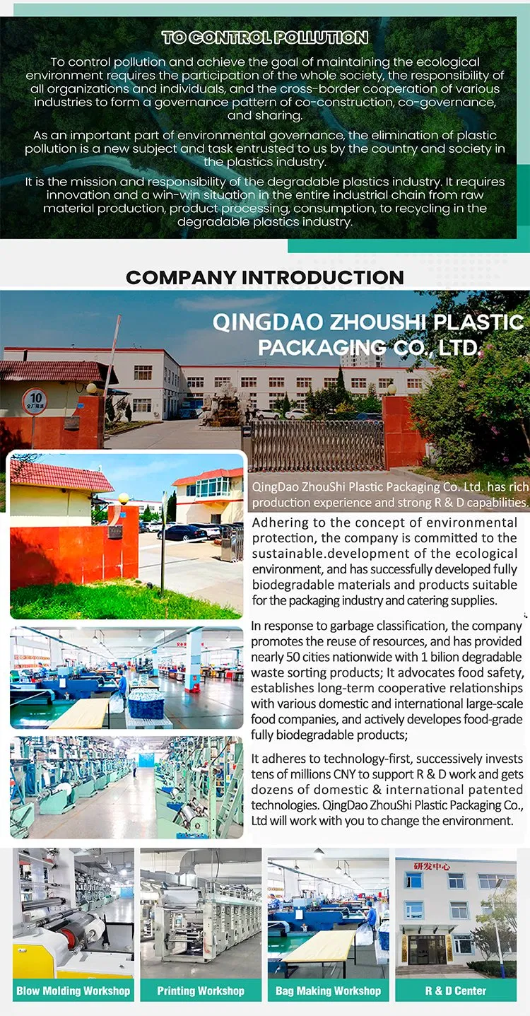 Custom Printed Sustainable Biodegradable Colored Plastic Mailing Shipping Envelopes Packaging for Clothes