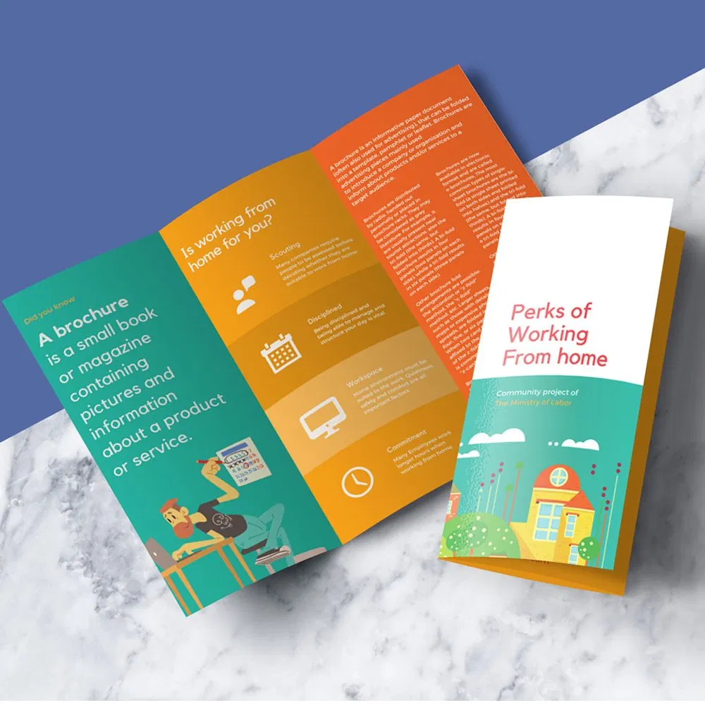 Full Color Printing Promotion Catalogues/Booklets/Instruction Manual
