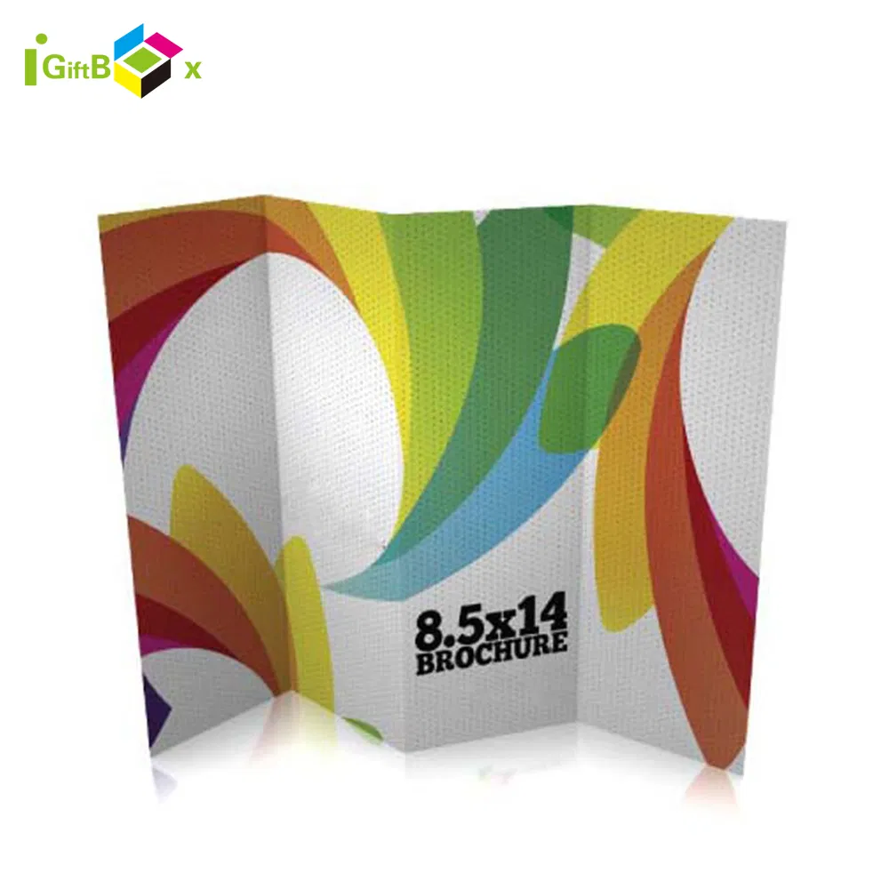 Full Color Printing Promotion Catalogues/Booklets/Instruction Manual