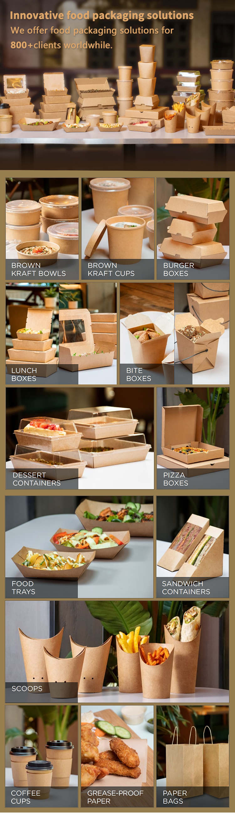 Paper Take Away Packages Specifications