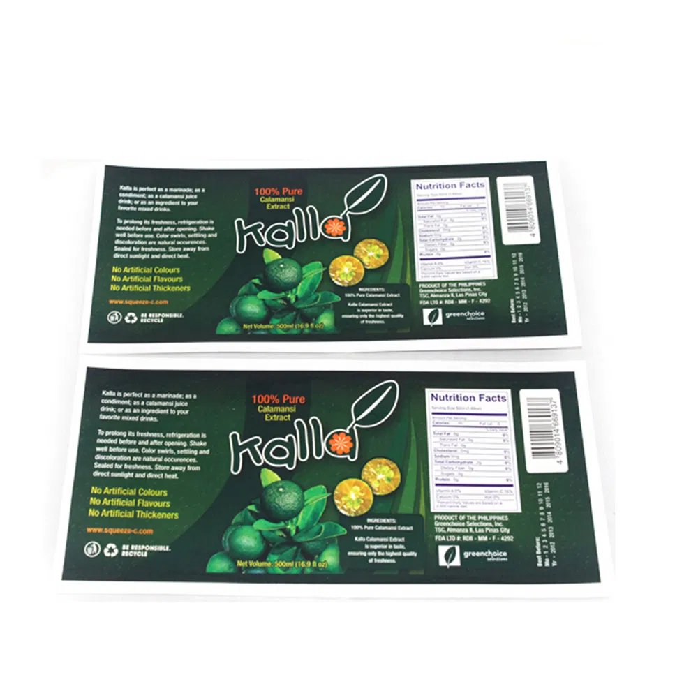 Full Color Printing Promotion Catalogues/Booklets/Instruction Manual