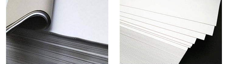 Kraft Paper and Specialty Paper Options