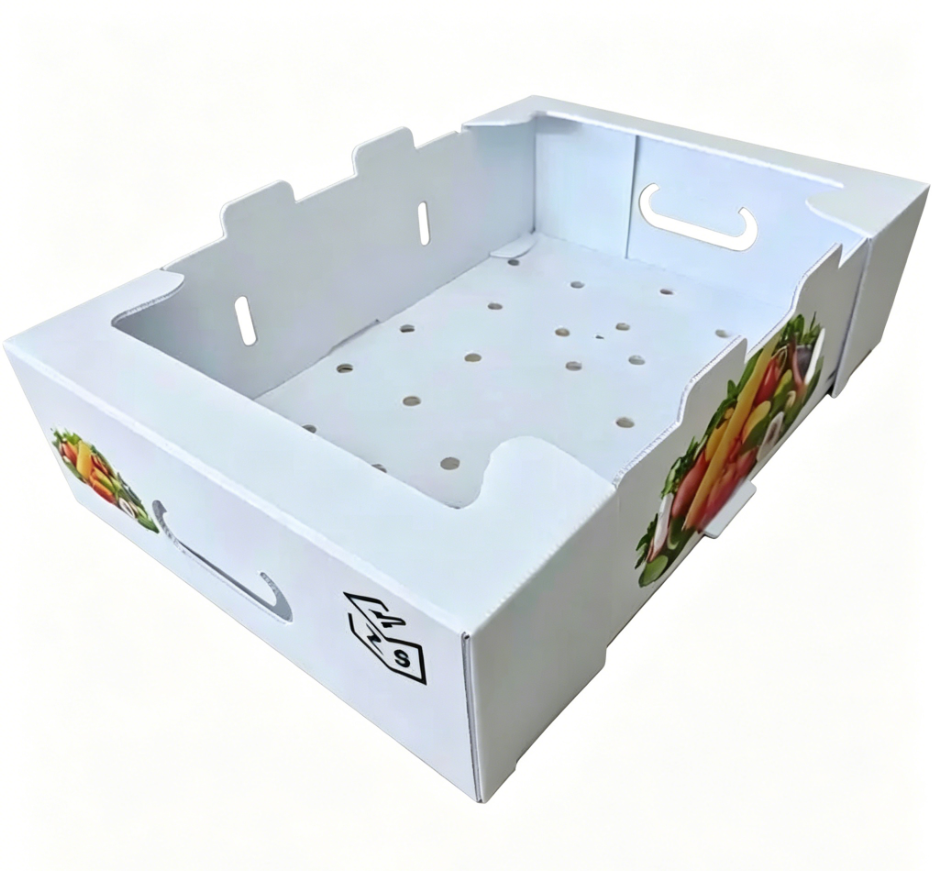 PP Corrugated Plastic Box for Agriculture Packing Box and Seafood Packing Box