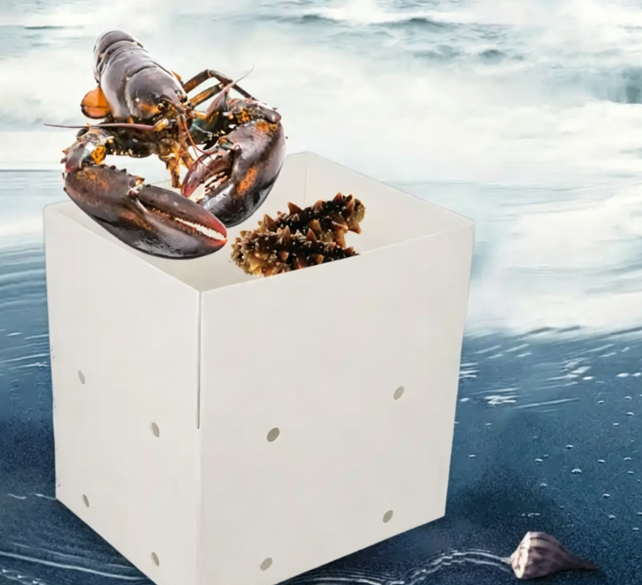 PP Corrugated Plastic Box for Agriculture Packing Box and Seafood Packing Box