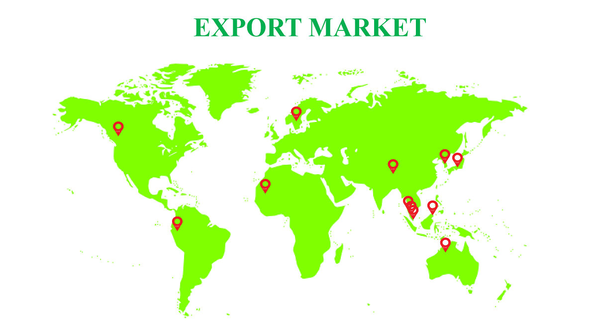 Export Standards Image 1
